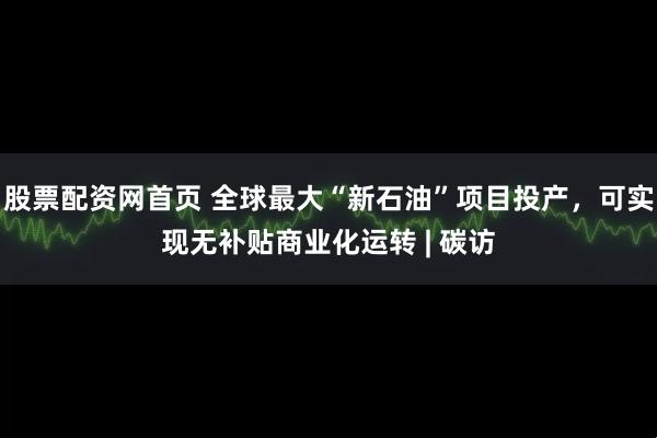 股票配资网首页 全球最大“新石油”项目投产，可实现无补贴商业化运转 | 碳访