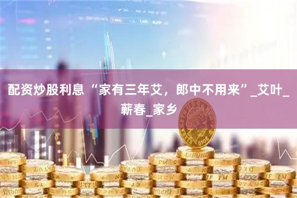 配资炒股利息 “家有三年艾，郎中不用来”_艾叶_蕲春_家乡