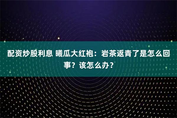 配资炒股利息 曦瓜大红袍：岩茶返青了是怎么回事？该怎么办？